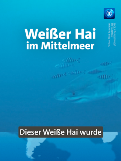 @tagesschau