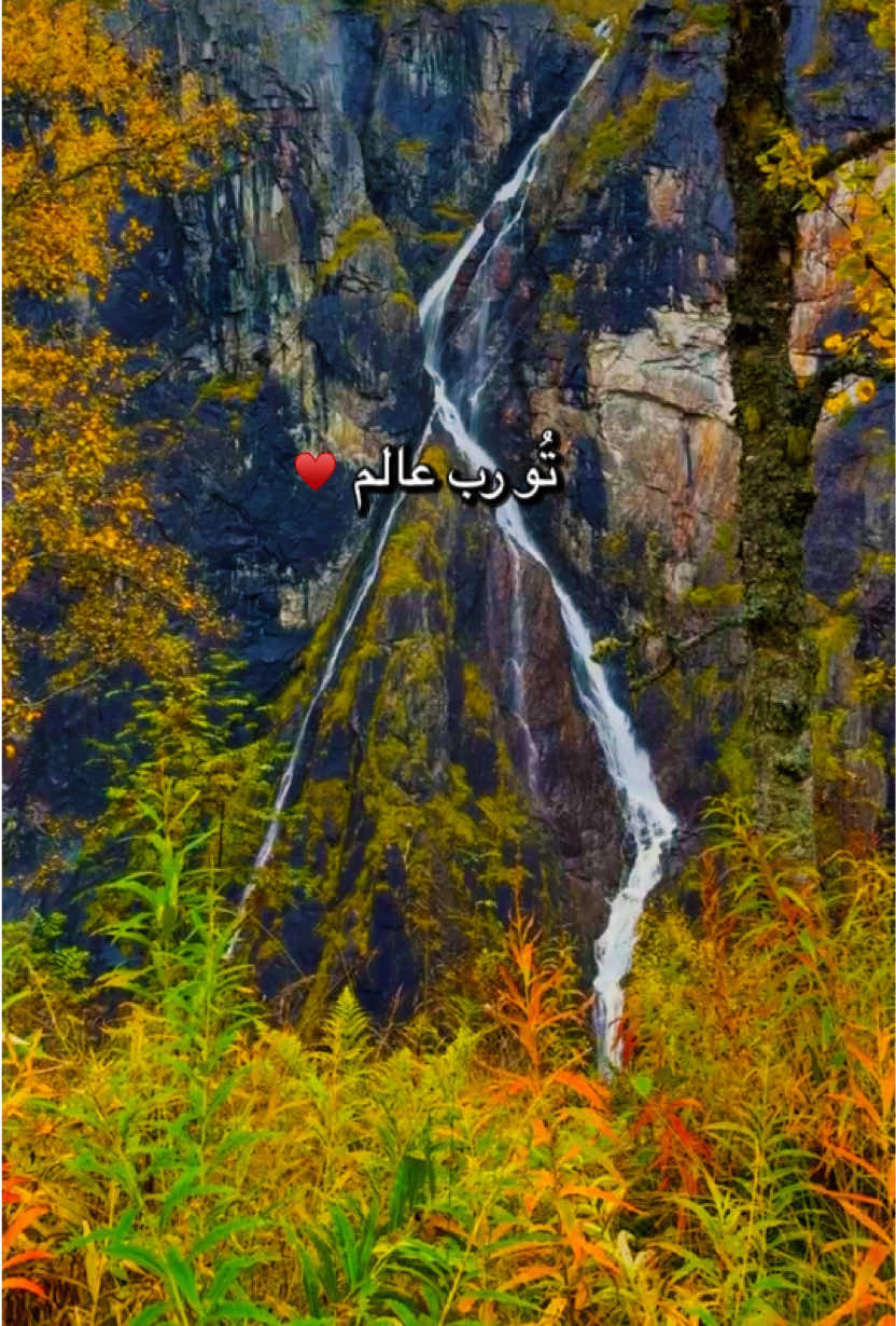@ermish_mushtaq