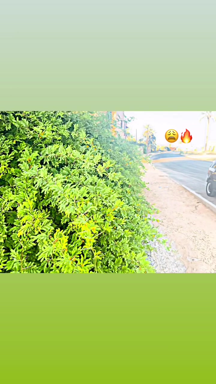 @ولد _عيت_ الشاوش ❤️🔥