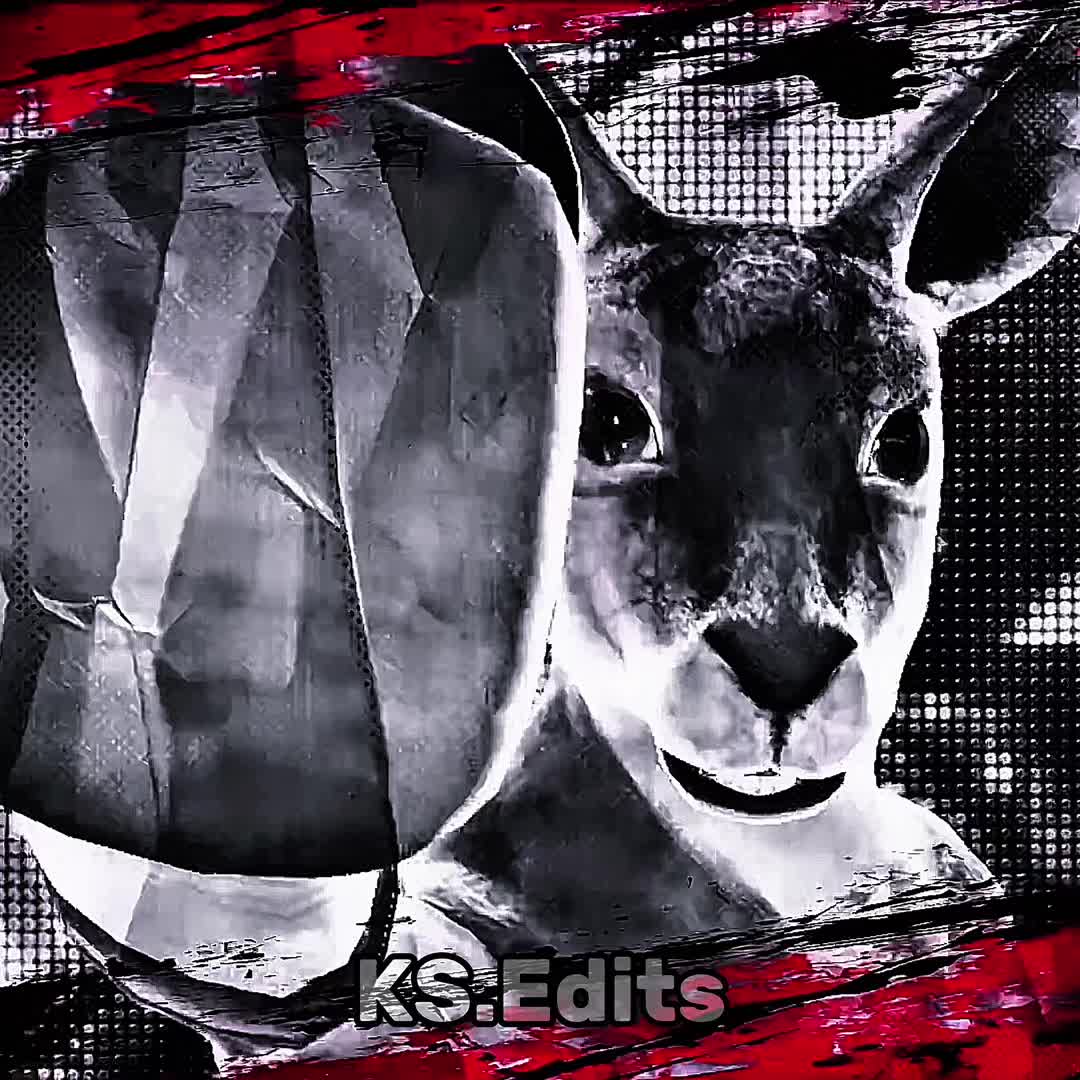 @KS.Edits