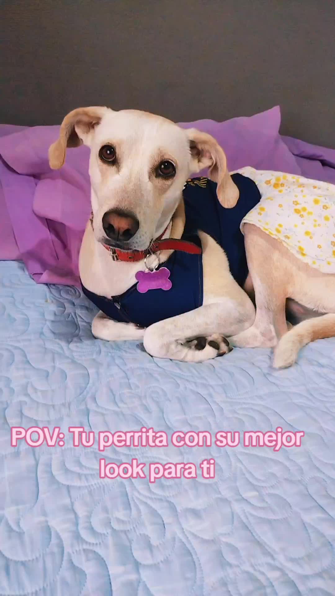 @winnie ❤🦮