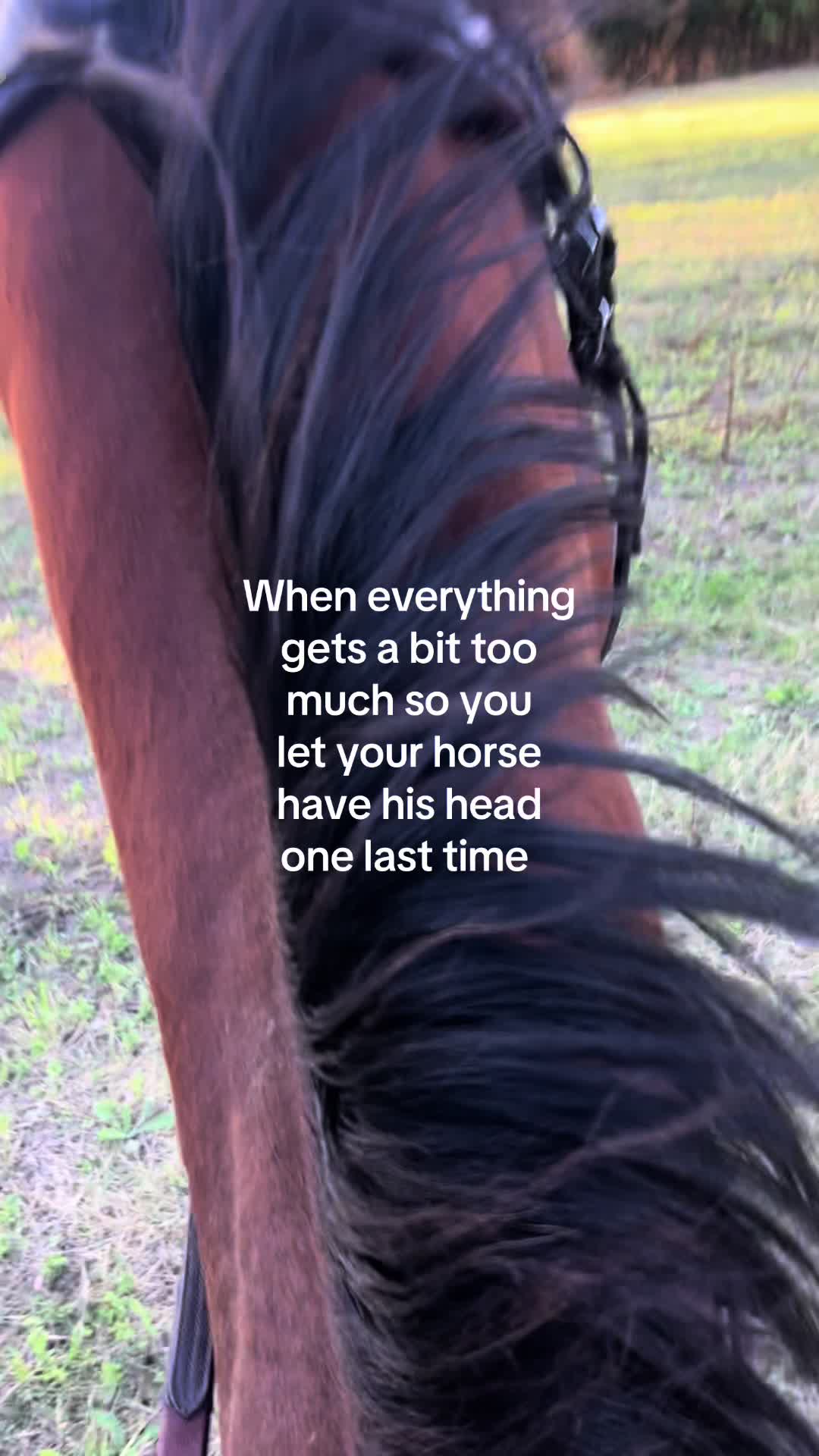 @🥂🐎🦢
