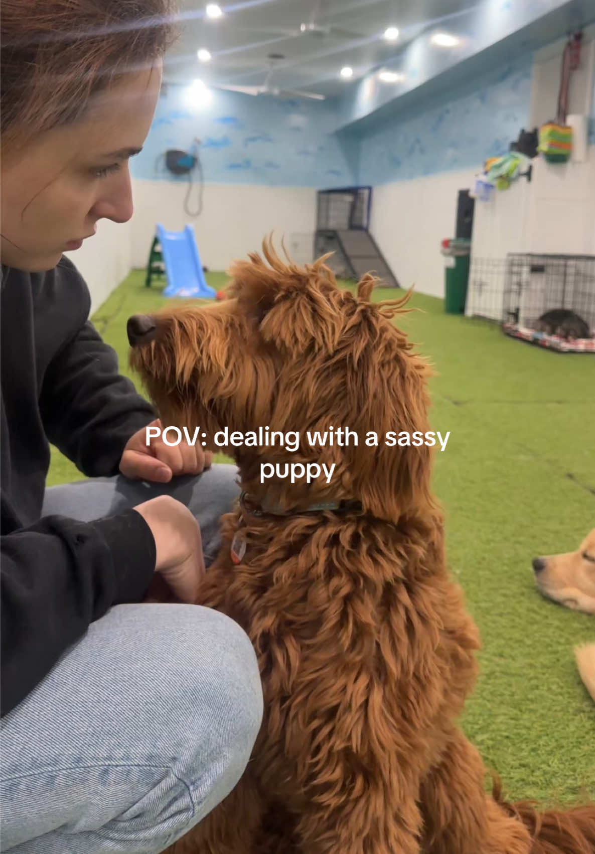 @Camp Canine Toronto