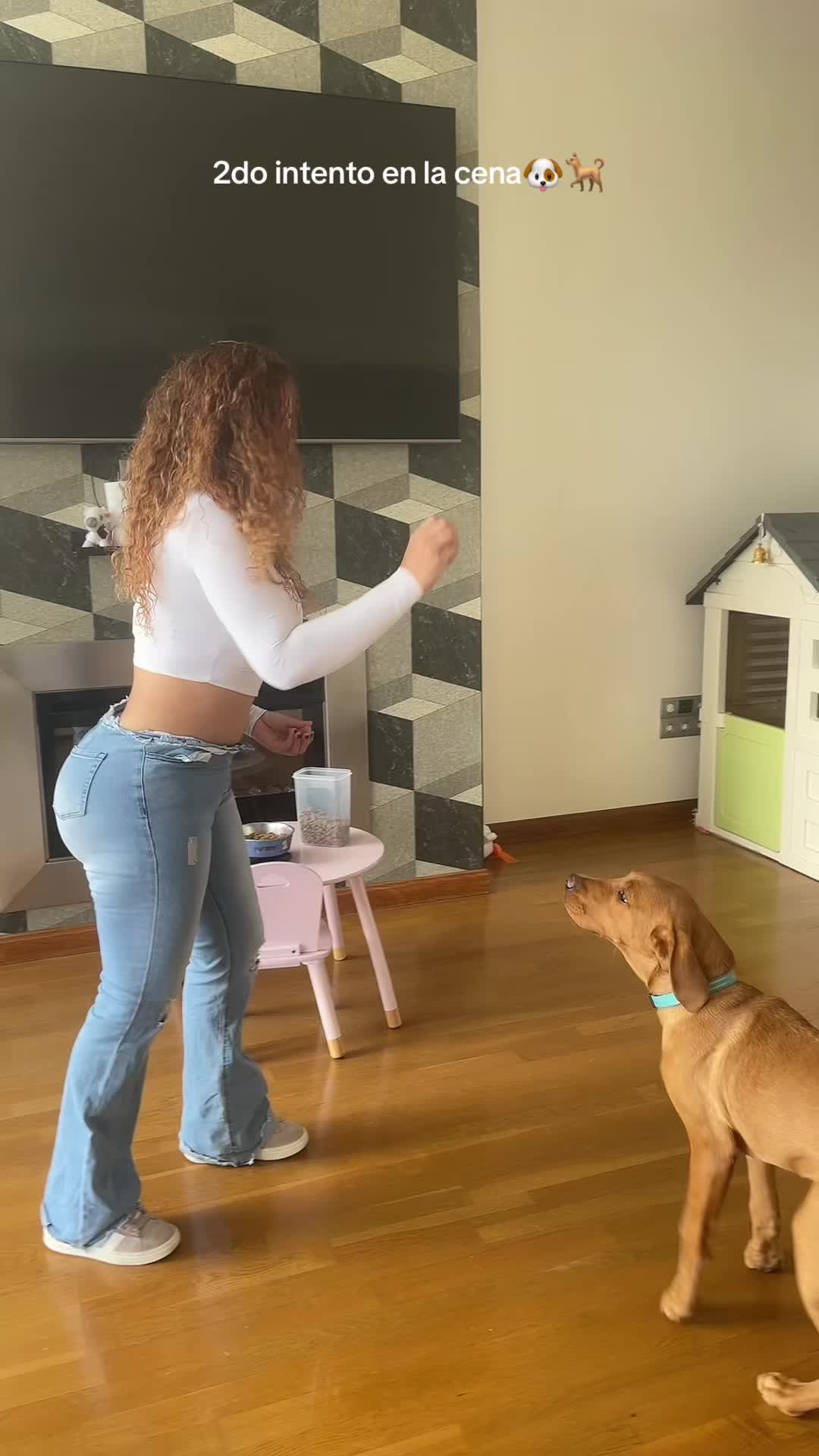 @RᗴIᑎA Cᴏʟ🇨🇴 🍎