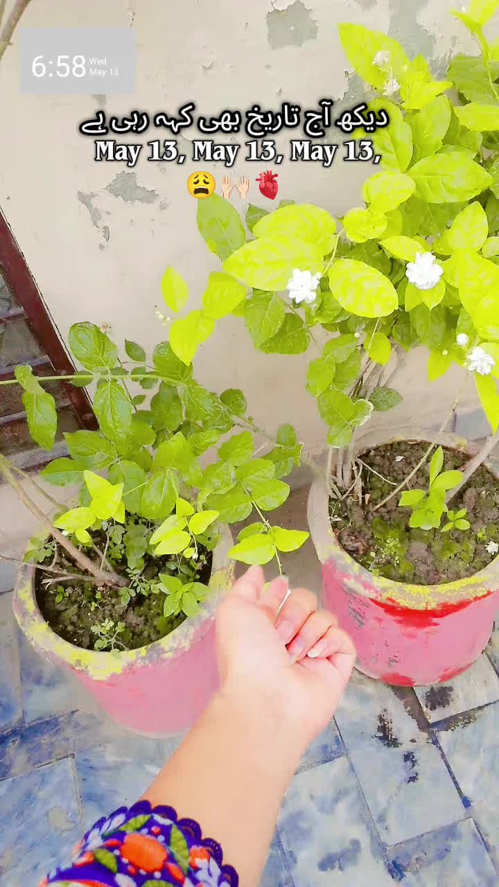 @Raبia Awaن