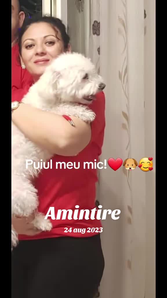 @Mirela