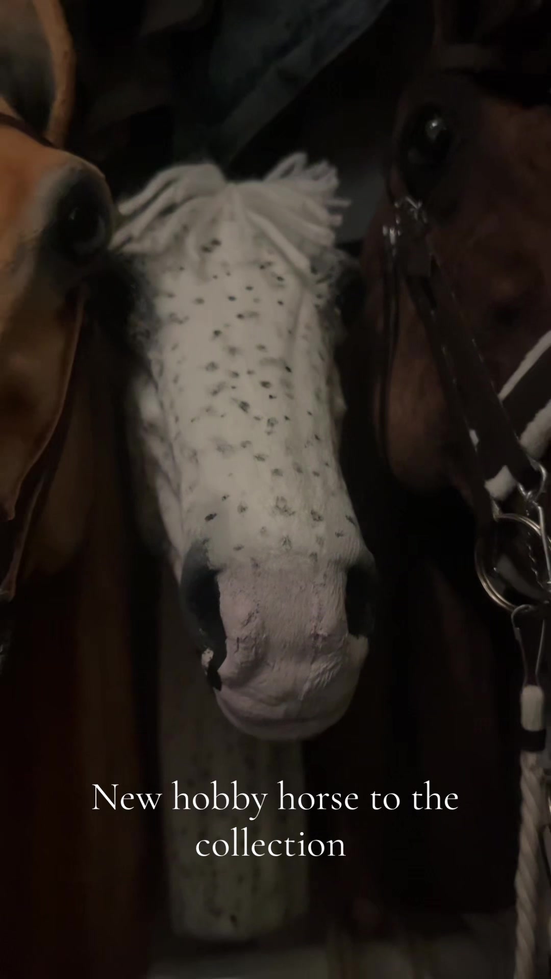 @zhobbyhorse