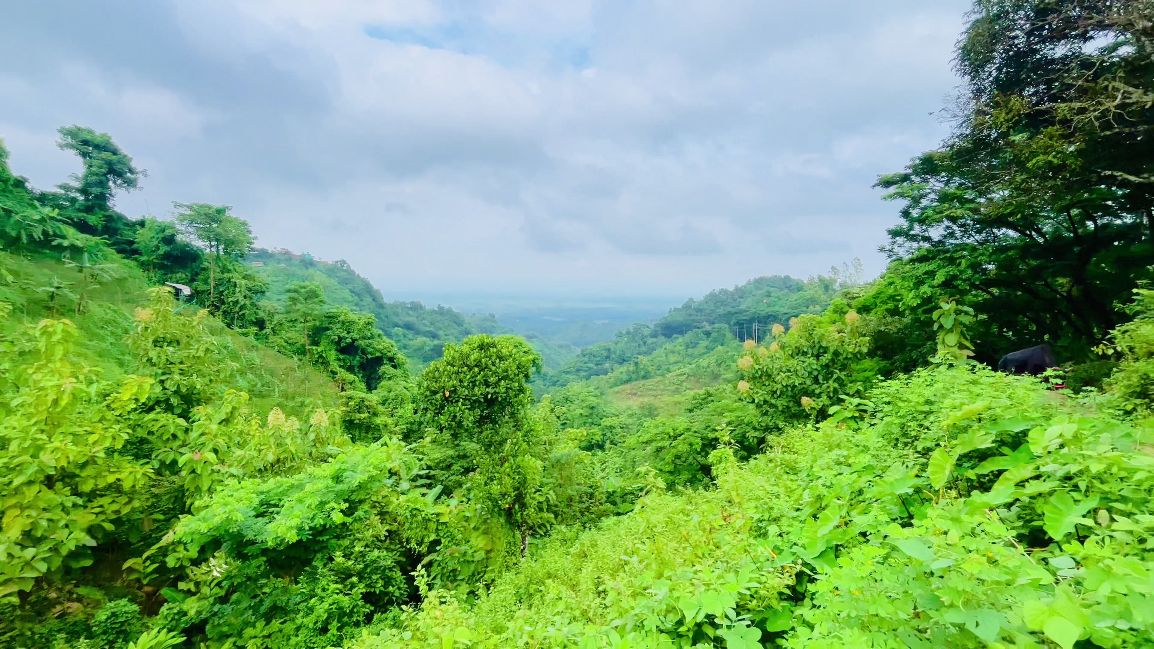 @প্রাকৃতিক 🌿