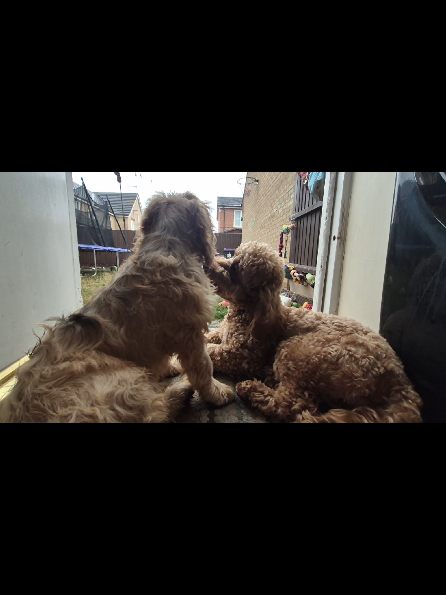 @Winnie & Wilf's Adventures