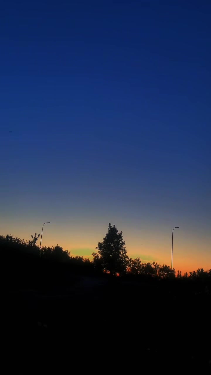 @elina0603s2