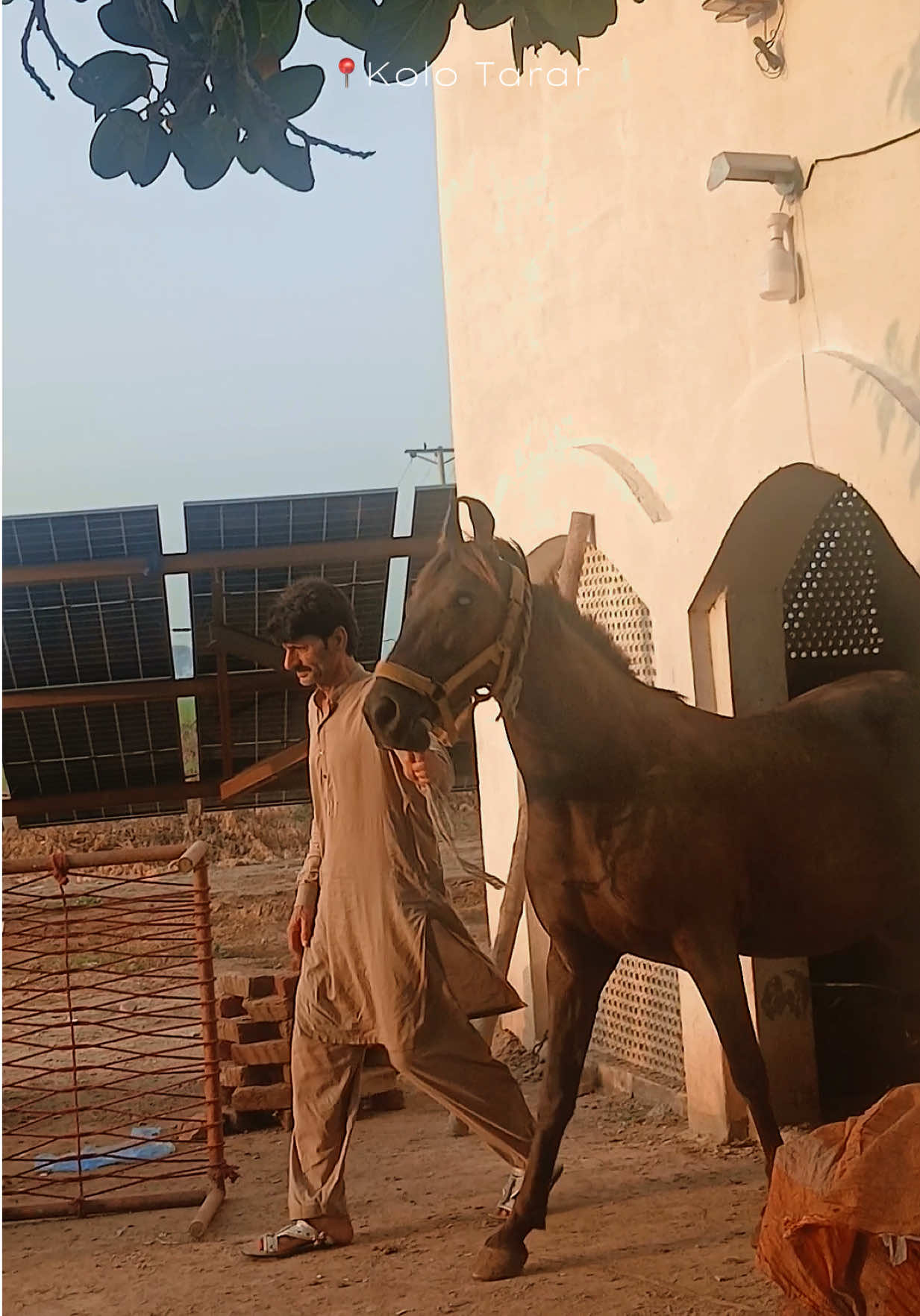 @Hayat Raza