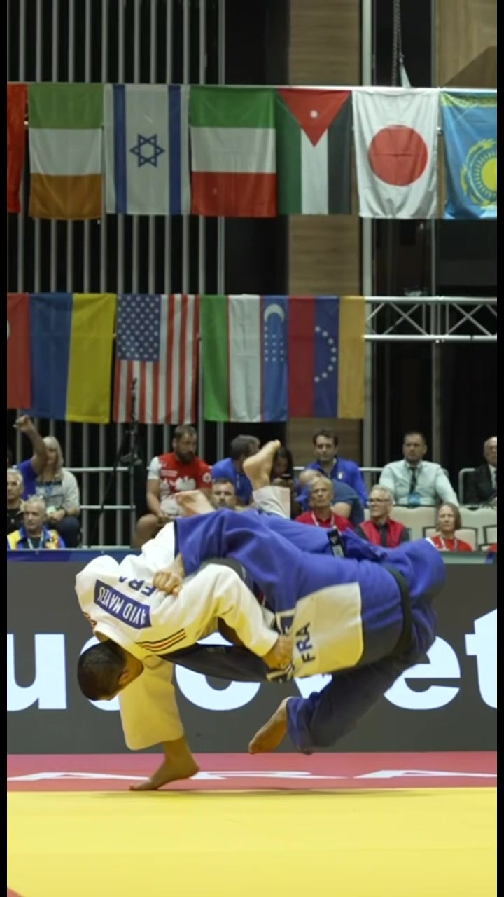 @mir_judo