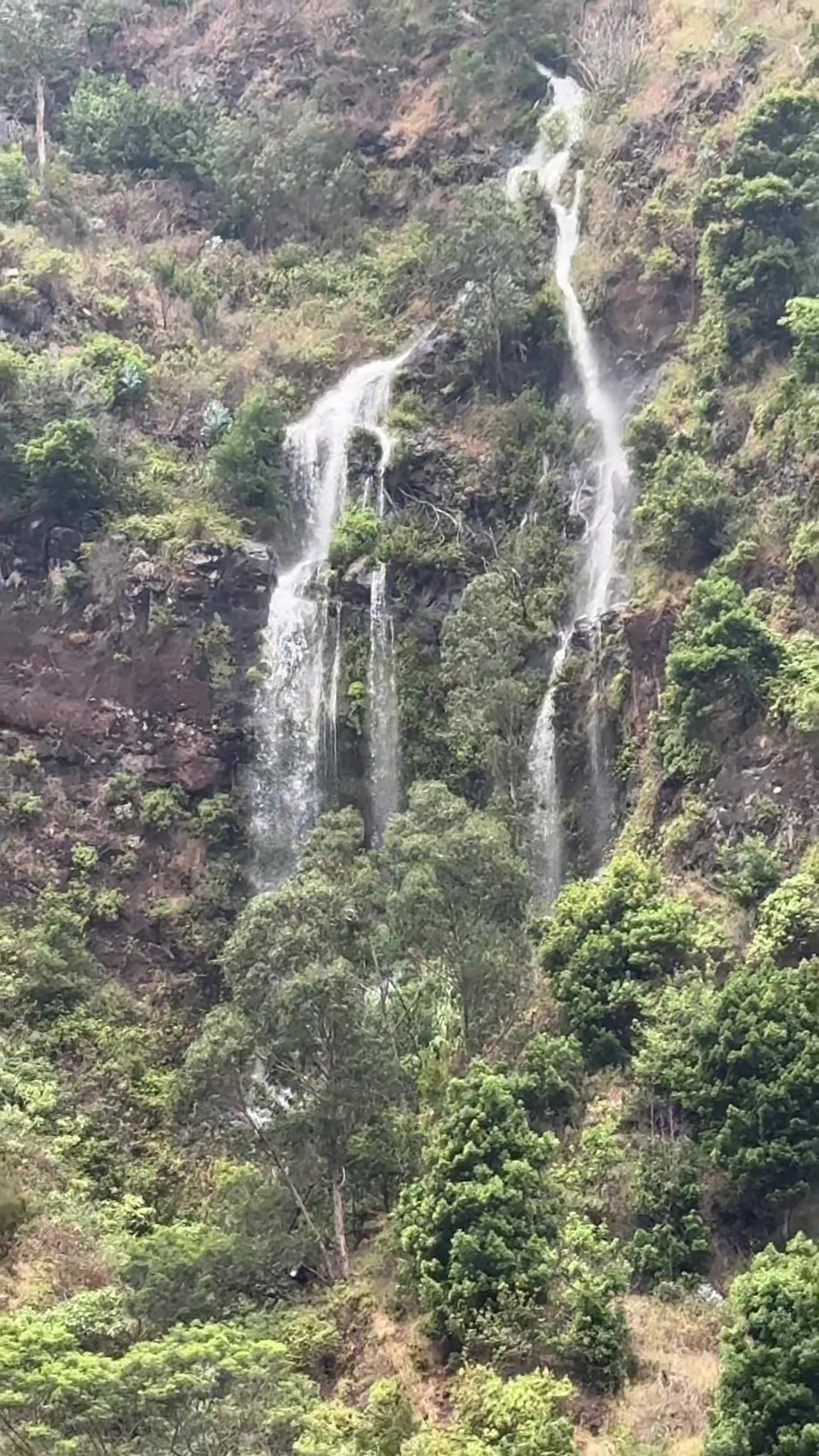 @ImpactAzul Madeira Island Tour