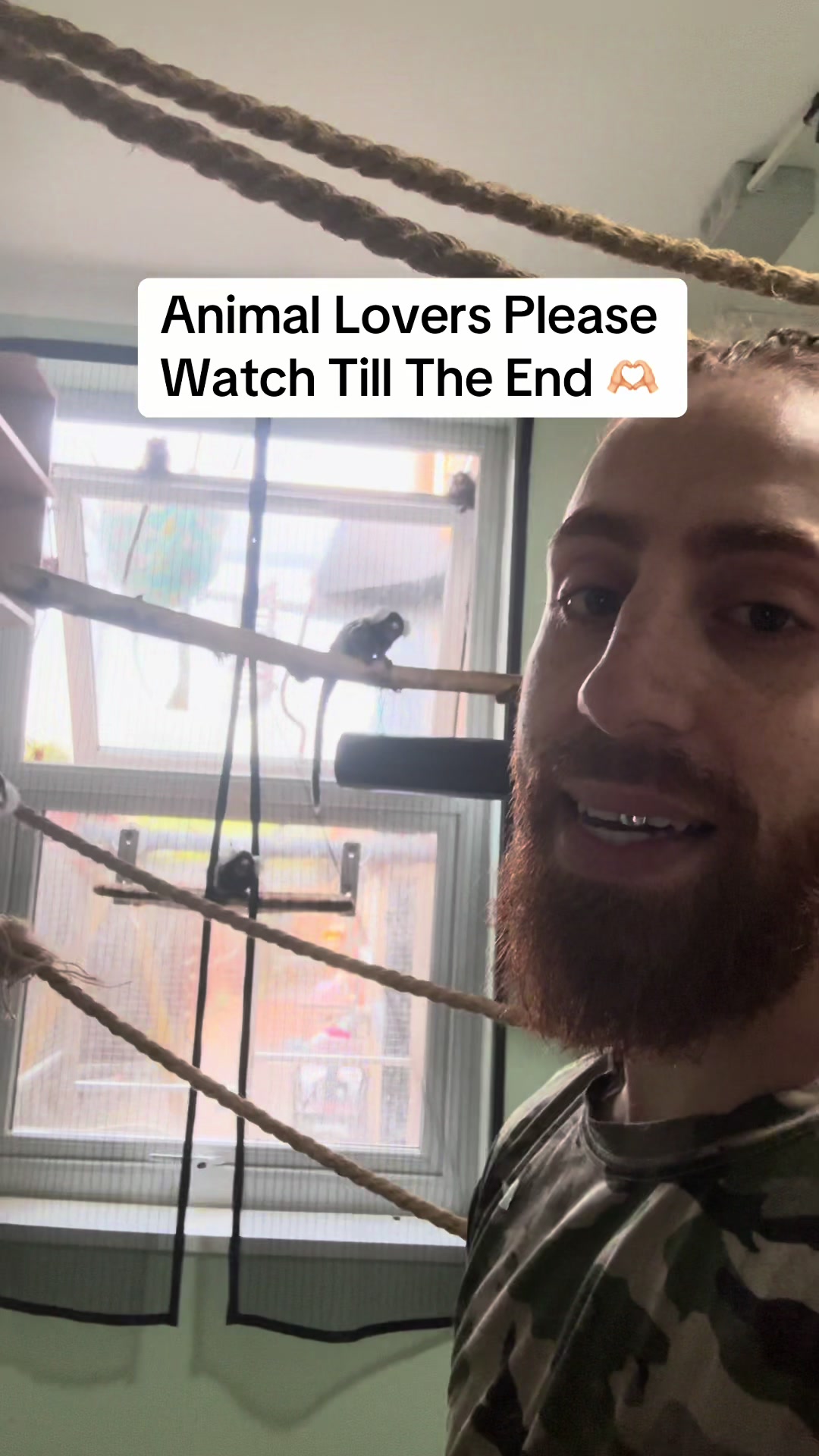 @Birdman🦅