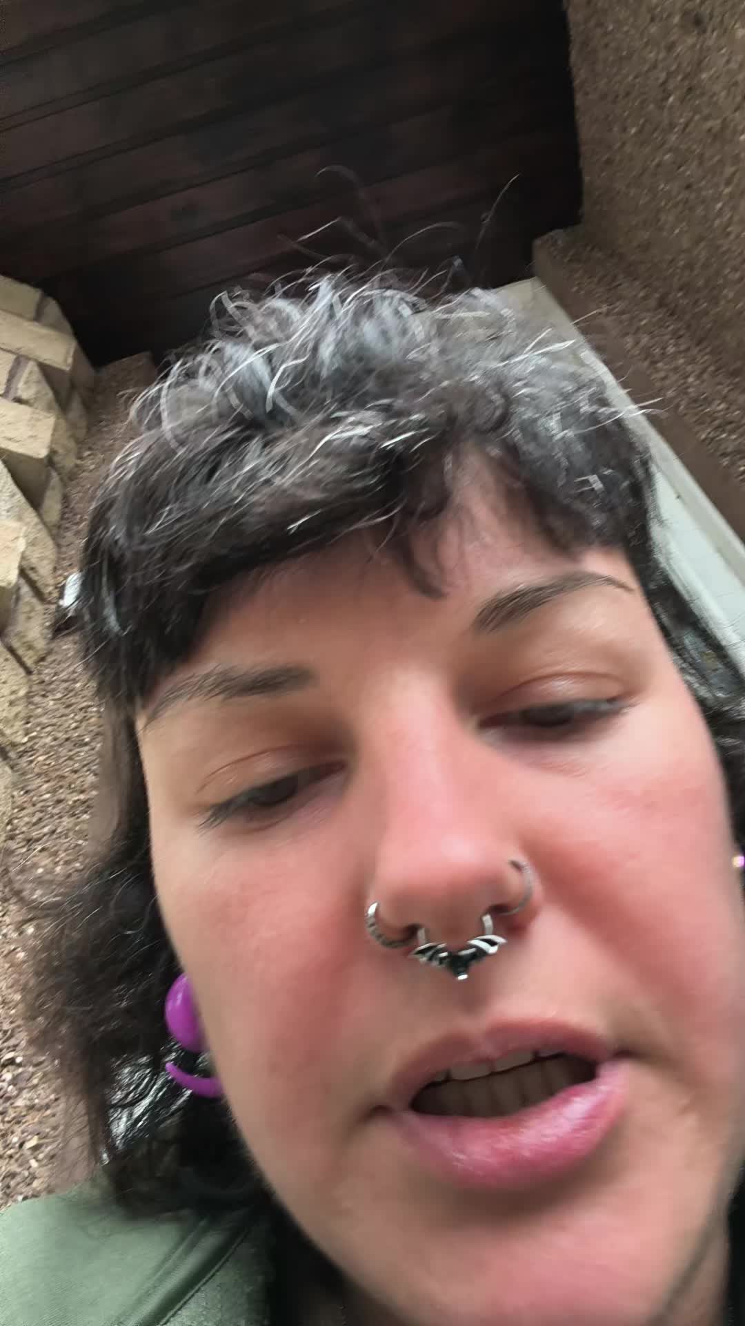 @Chebzilla🦖