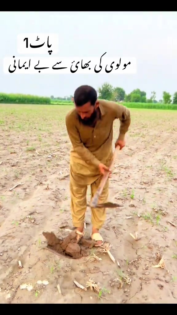 @پینڈو بوائز 378
