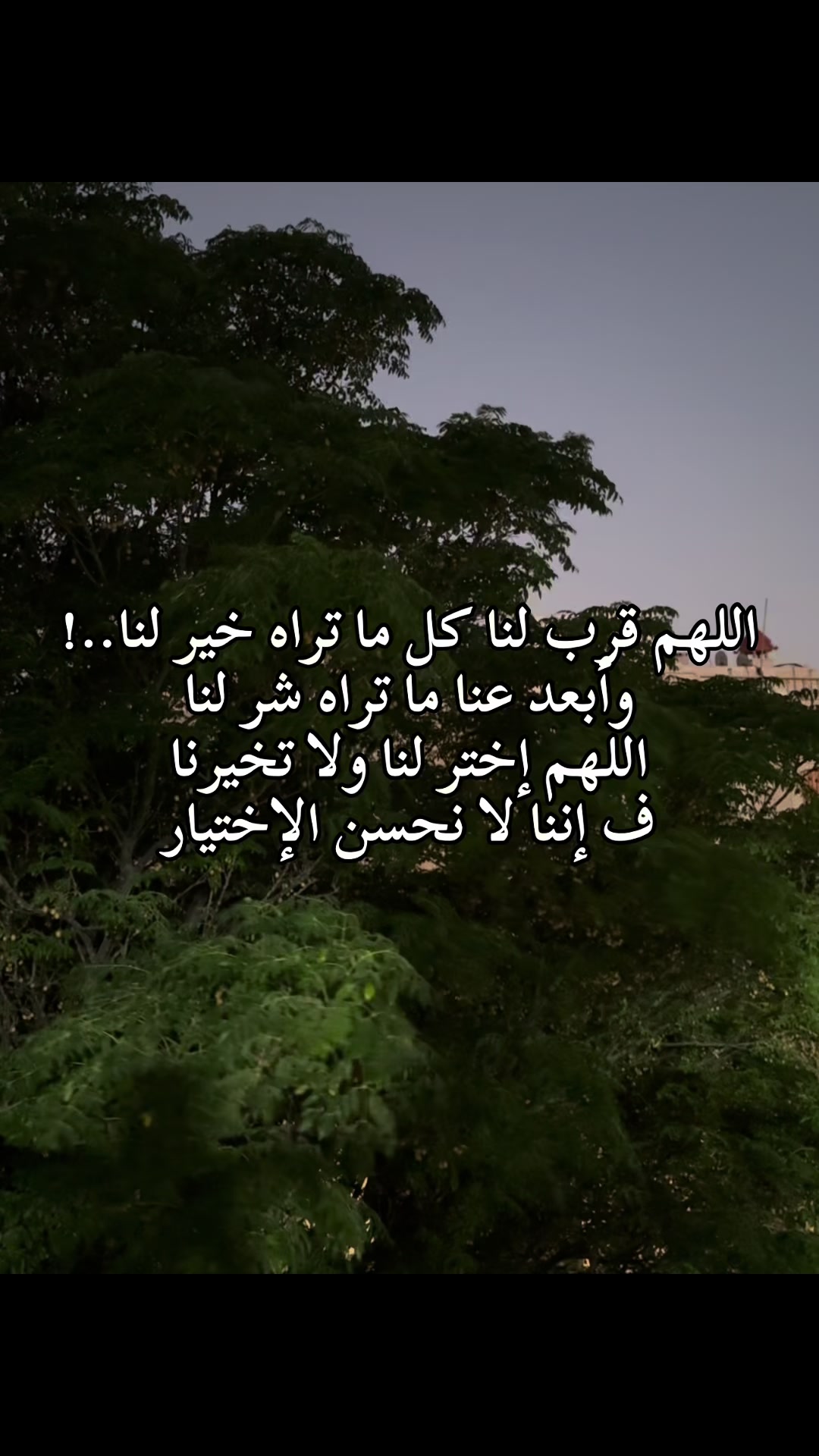 @الوتين 🕊