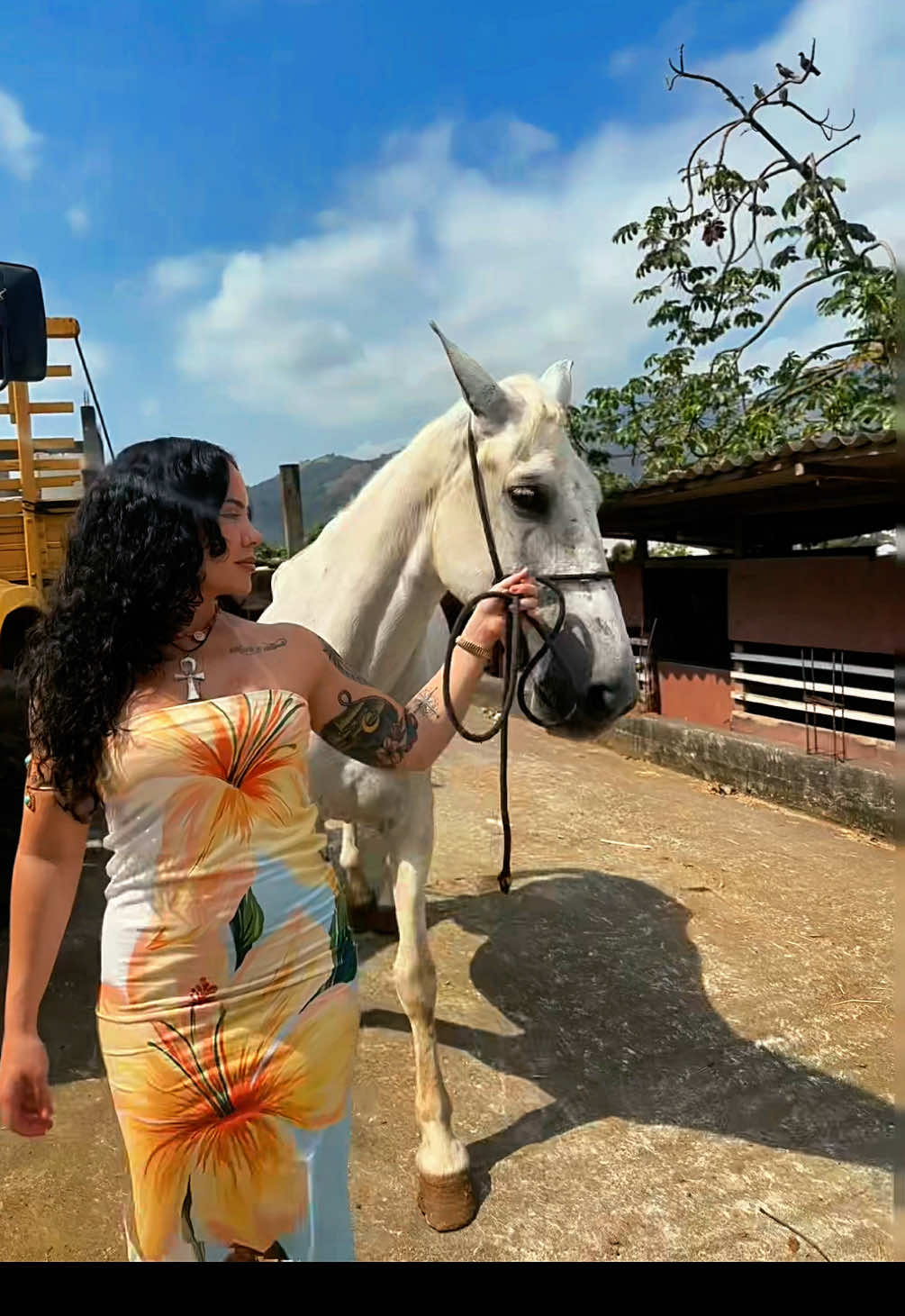 @Mariah Flor do oriente