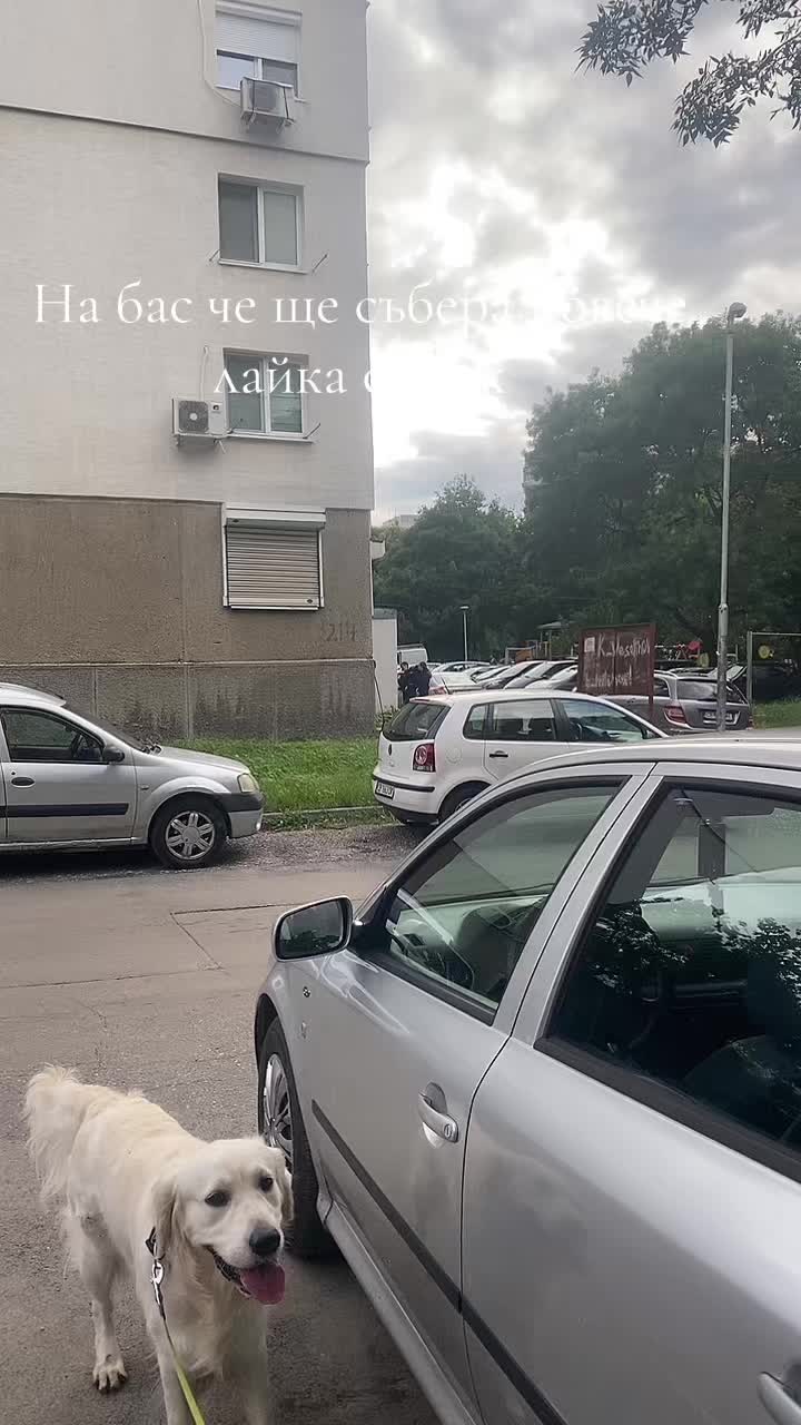 @Stasi_velinova