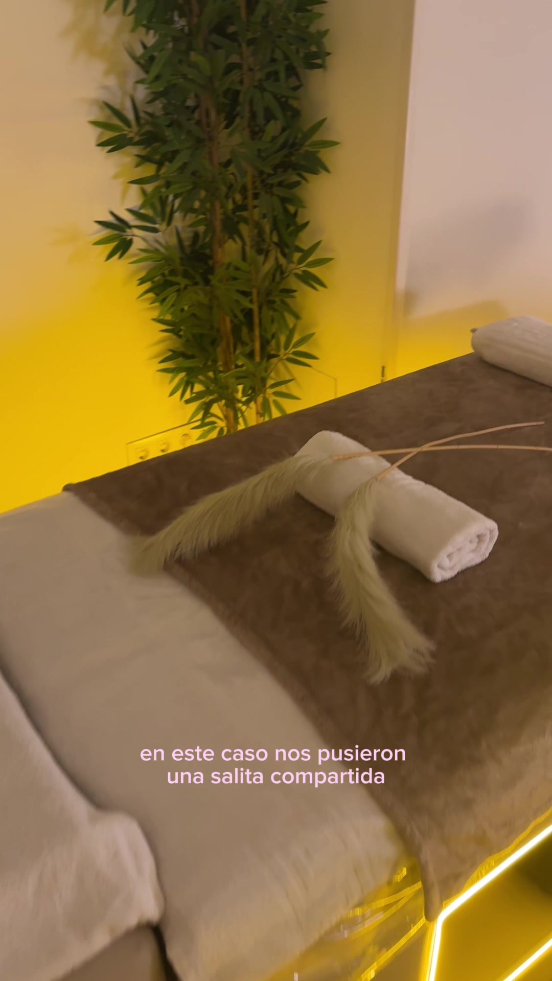 @celia