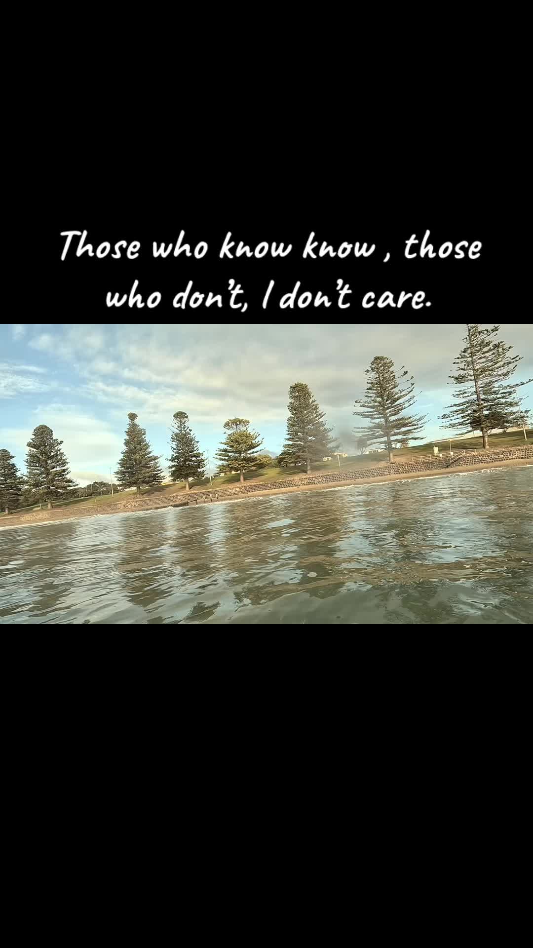 @dawnpartol70