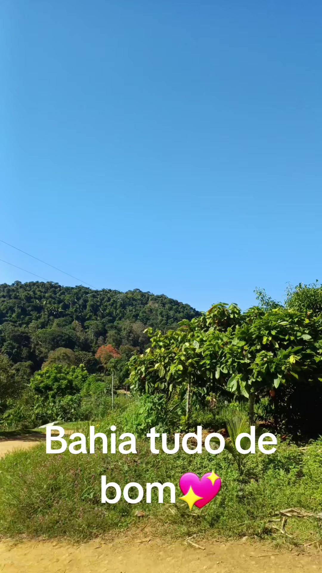 @J&ocirc; Borges