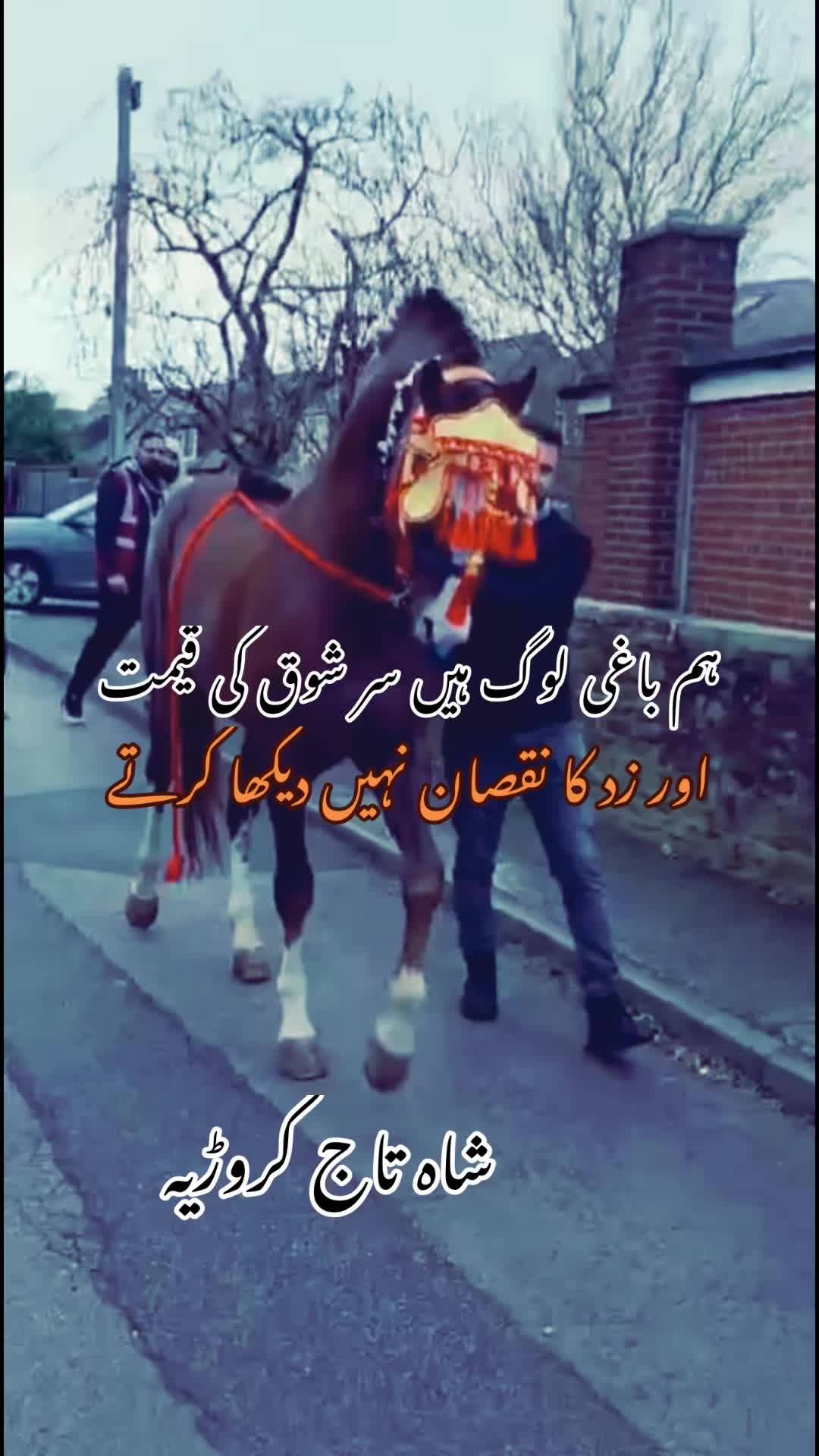 @Taqdees gillani