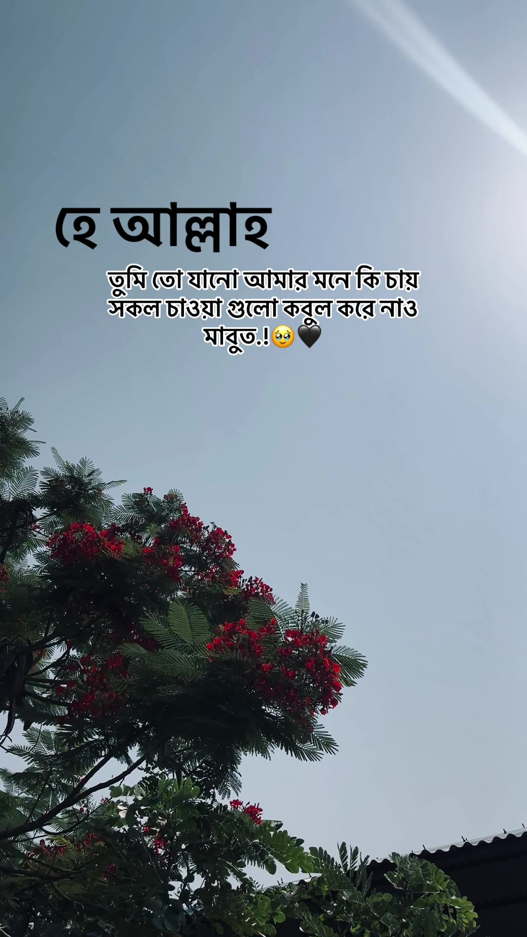 @সা জু 📜