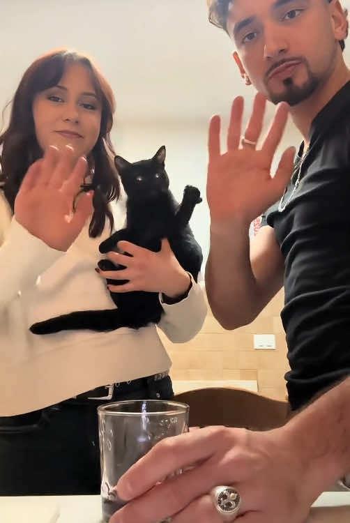 @Scare.funny.pets