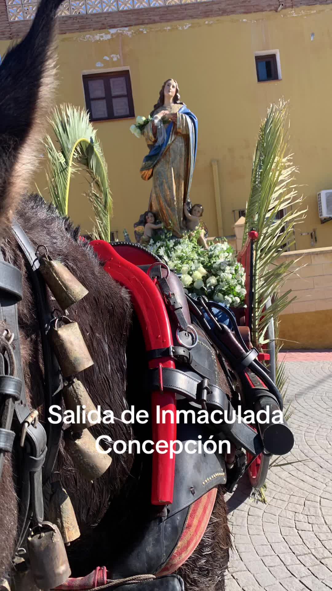 @rafa