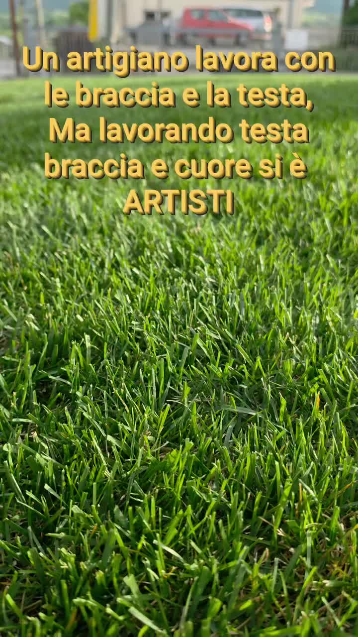 @#CENTROVERDELIONI