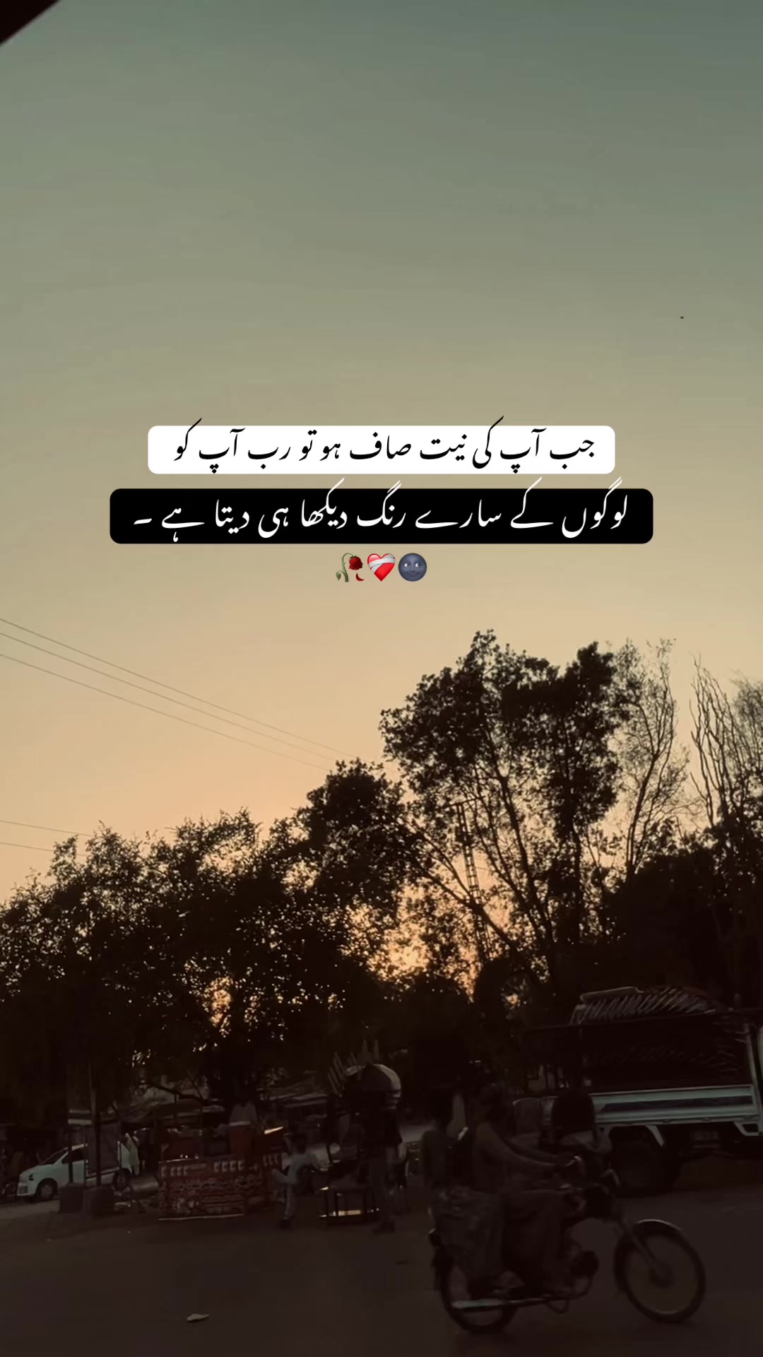 @𝘏 𝘈 𝘕 𝘡 𝘈 𝘓 𝘈 🐼 ✓