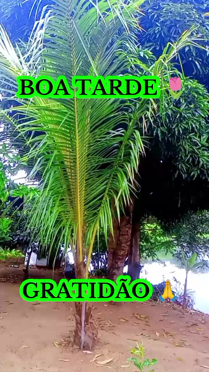 @Potiraguá Bahía e região