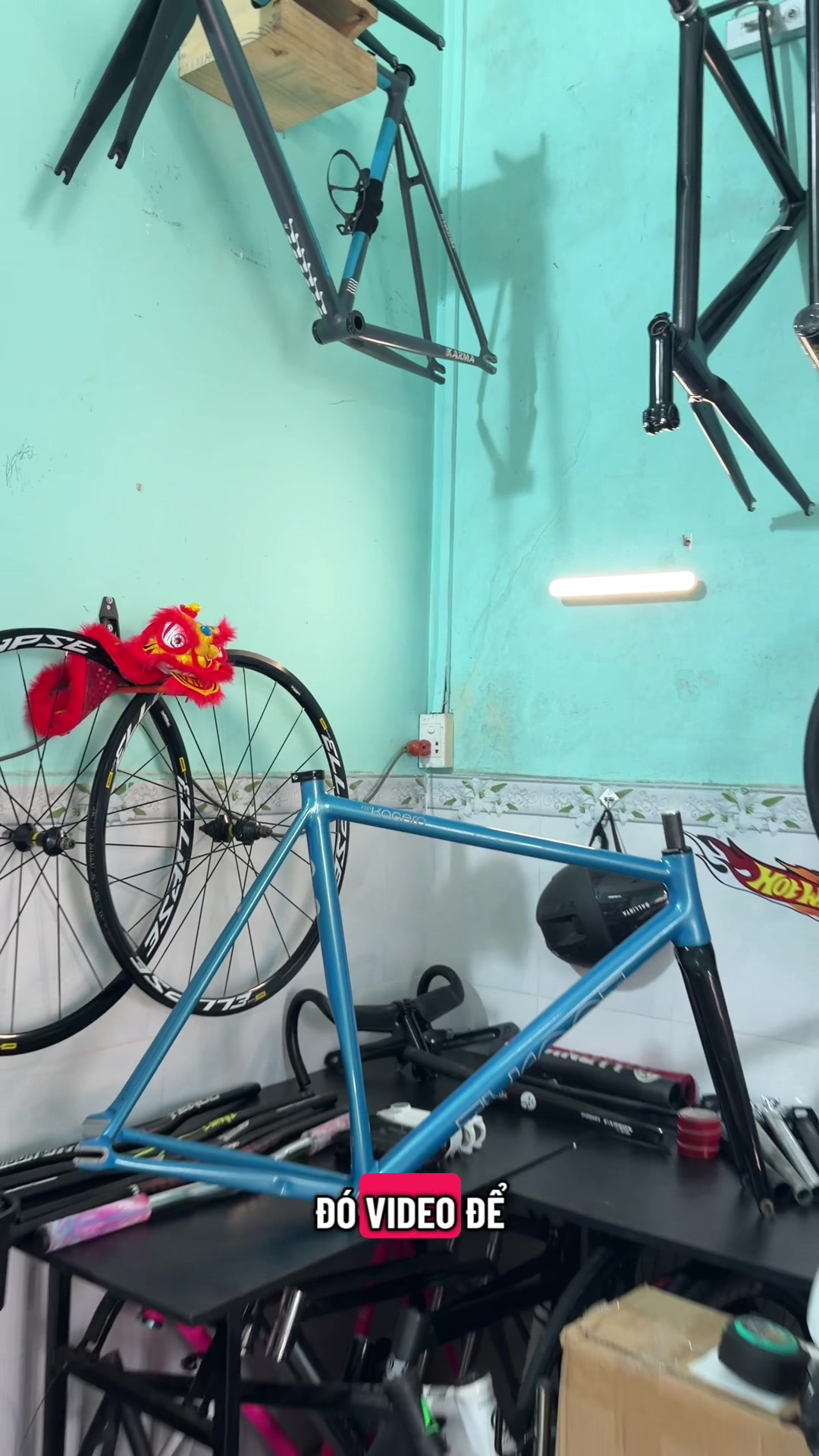 @Fixed Gear No1