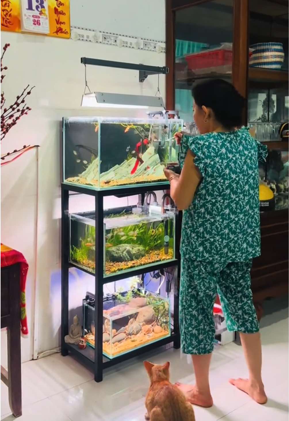 @Tui Tên Toàn