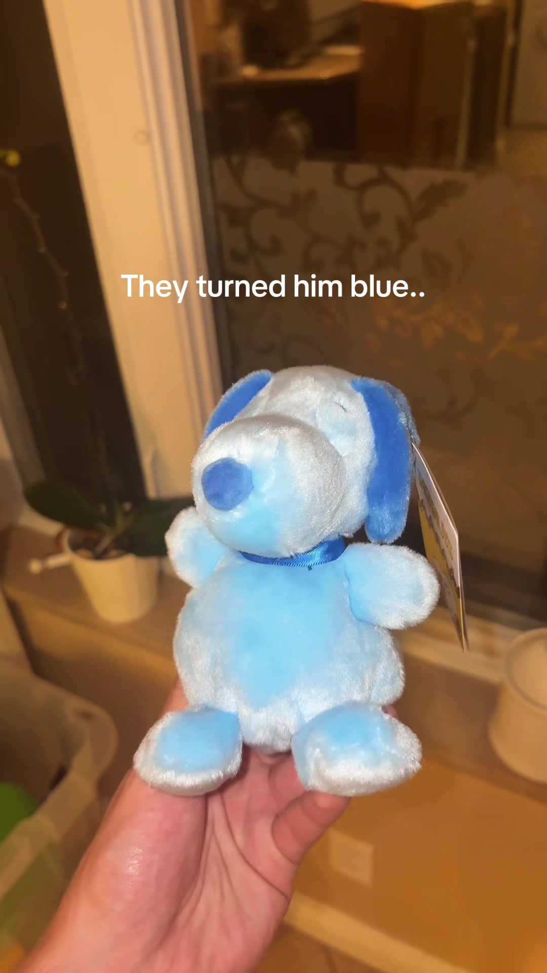 @Finn