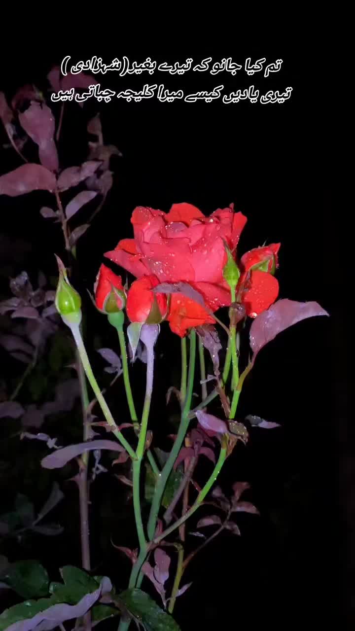 @💫❤️🔥دل کا بادشاہ❤️🔥💫