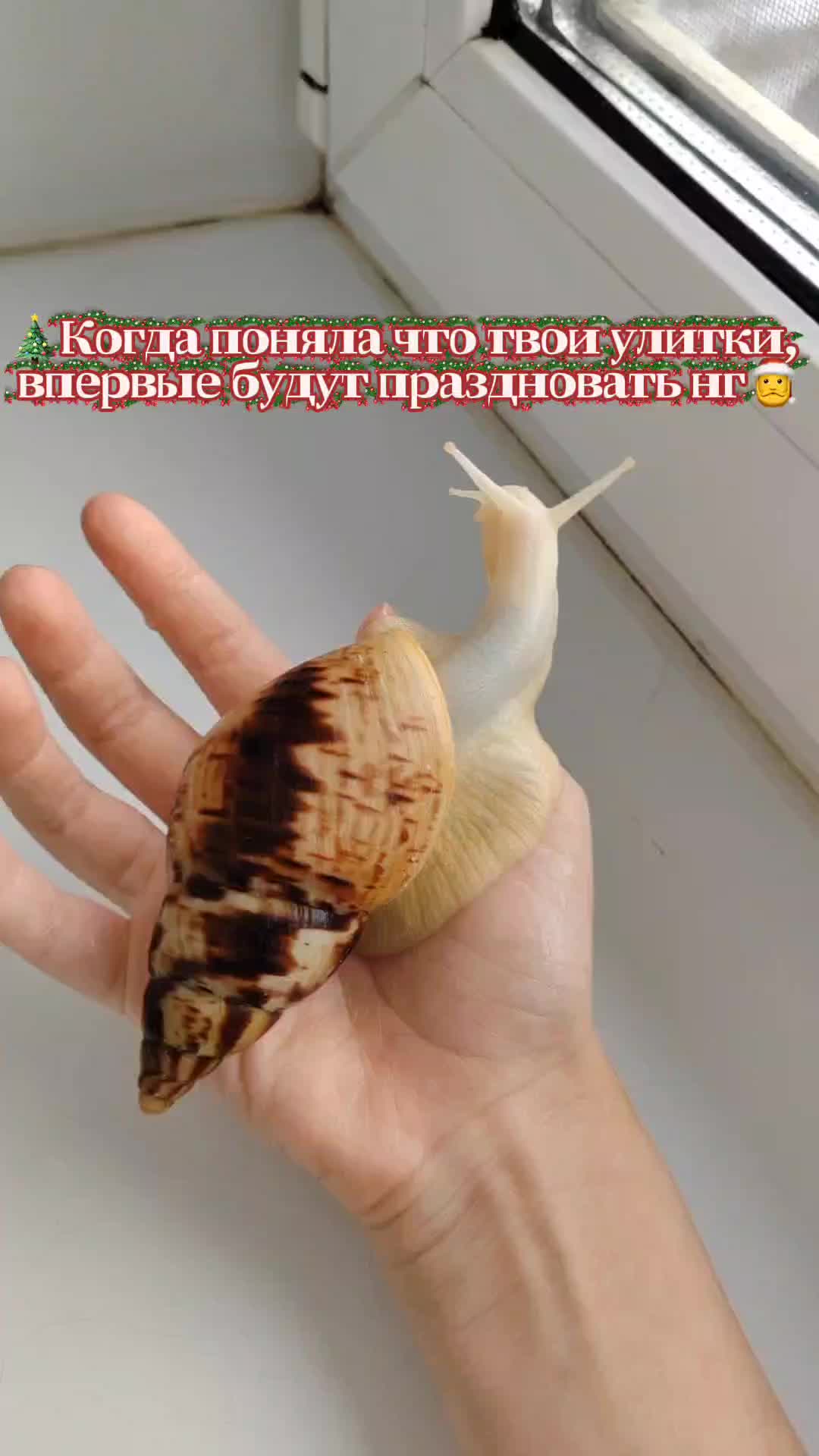 @angie🦋@