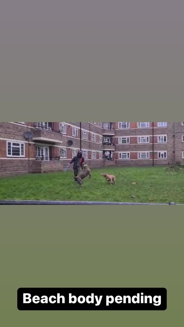 @eastendfarm_london