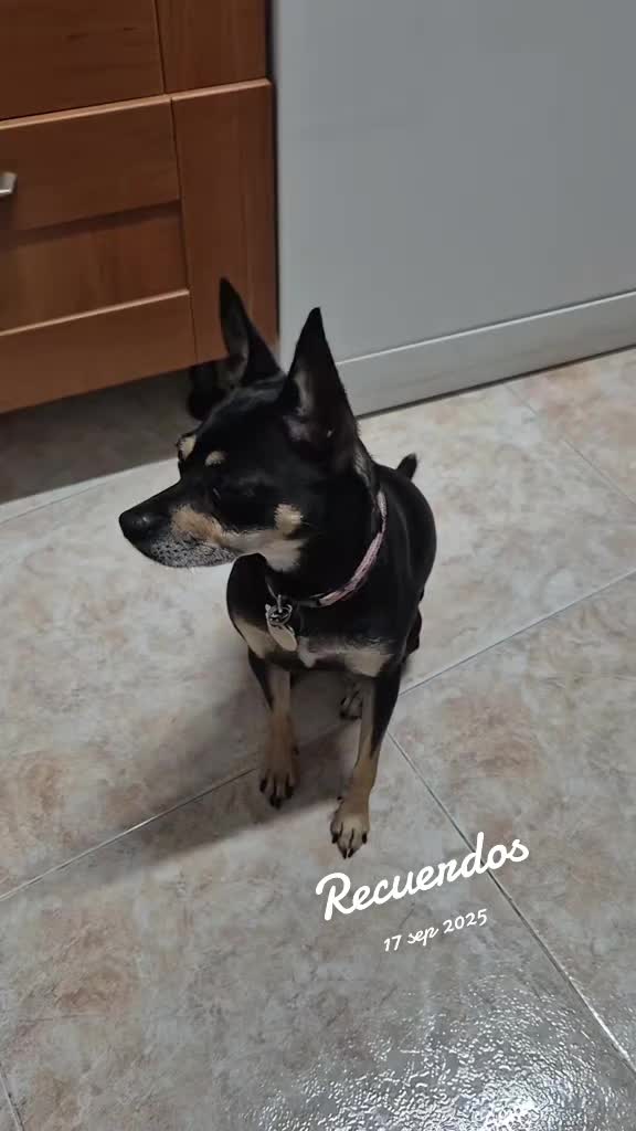 @AntoCM💕