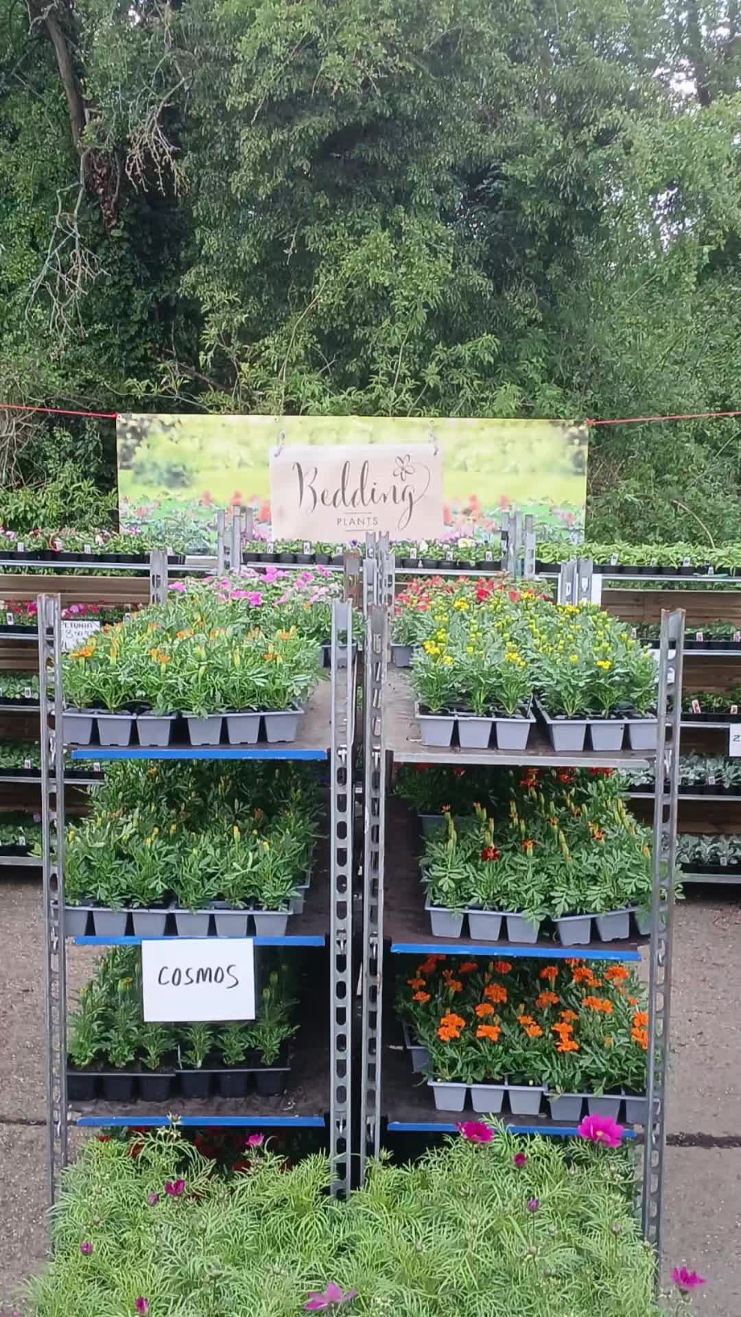@Moores Nurseries