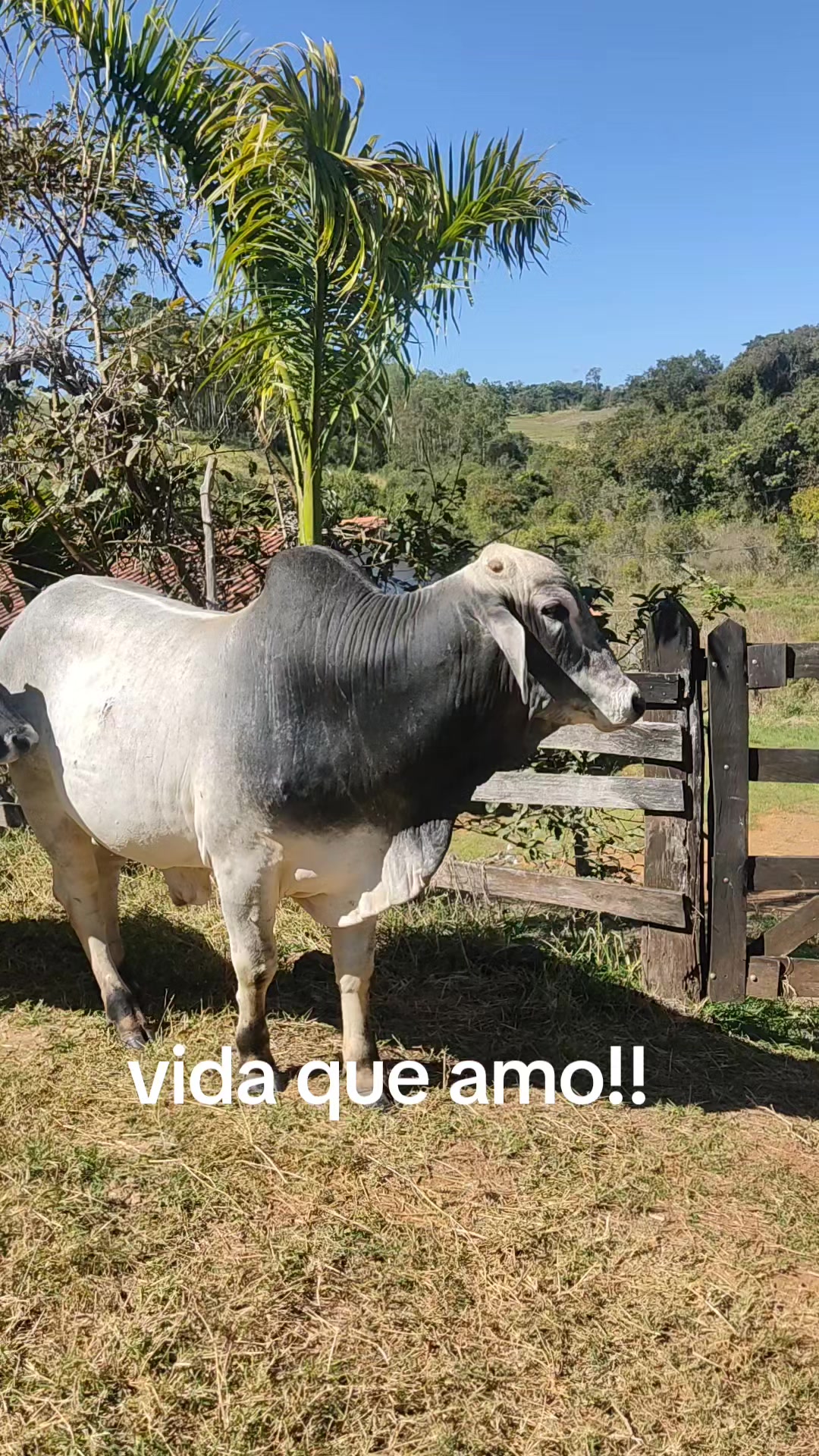 @mariamarciaoliv57