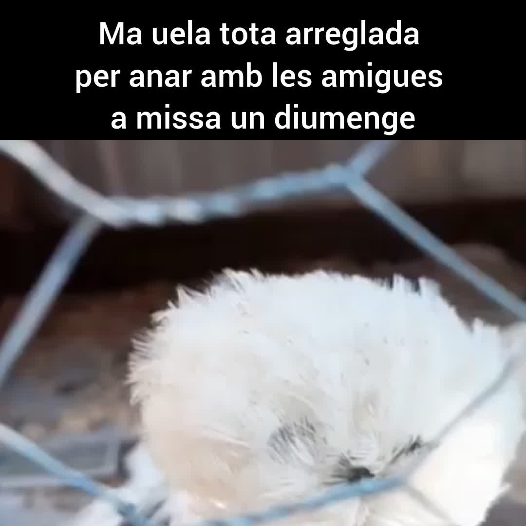 @xufet