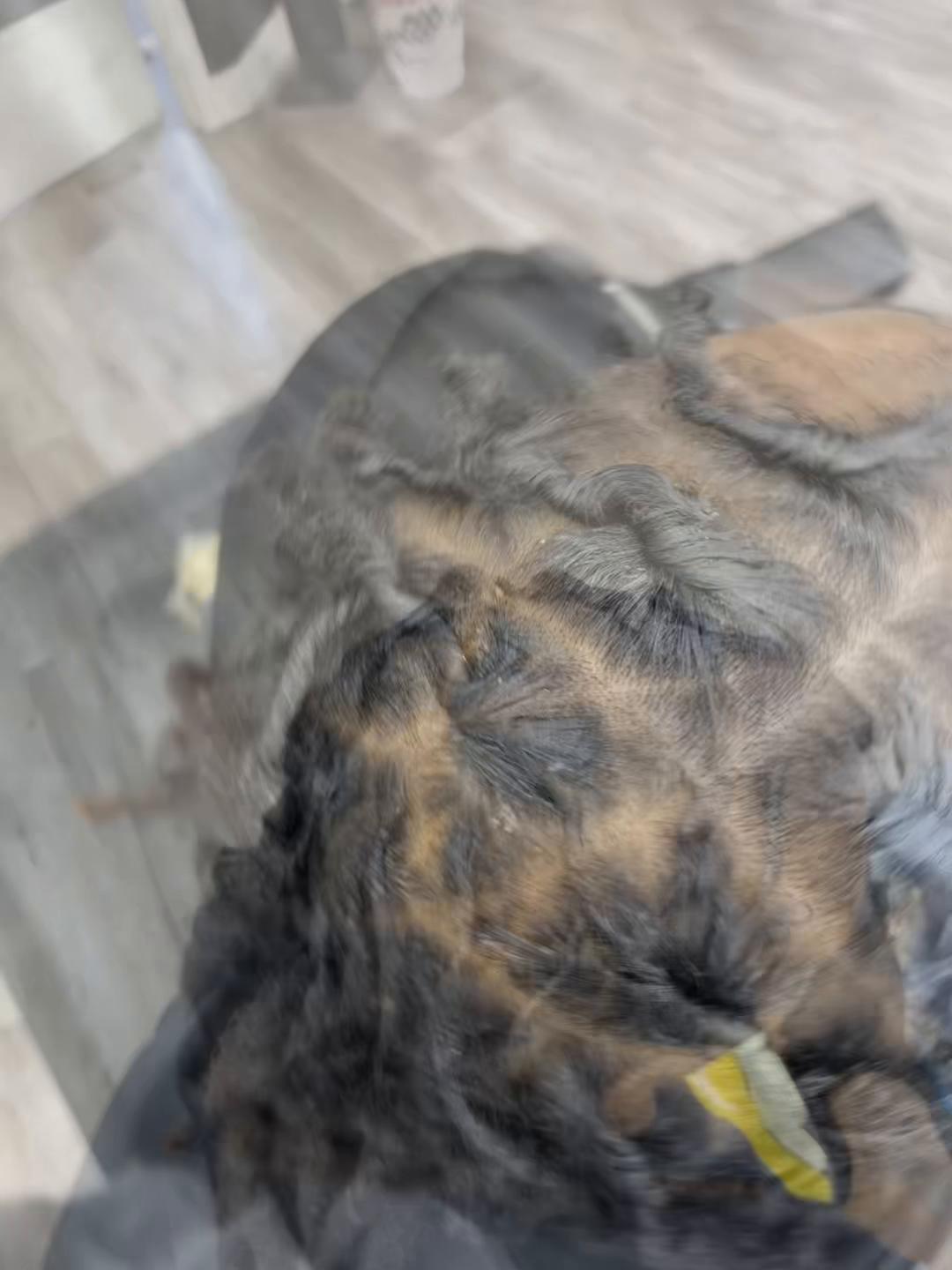 @thedreadlocguy