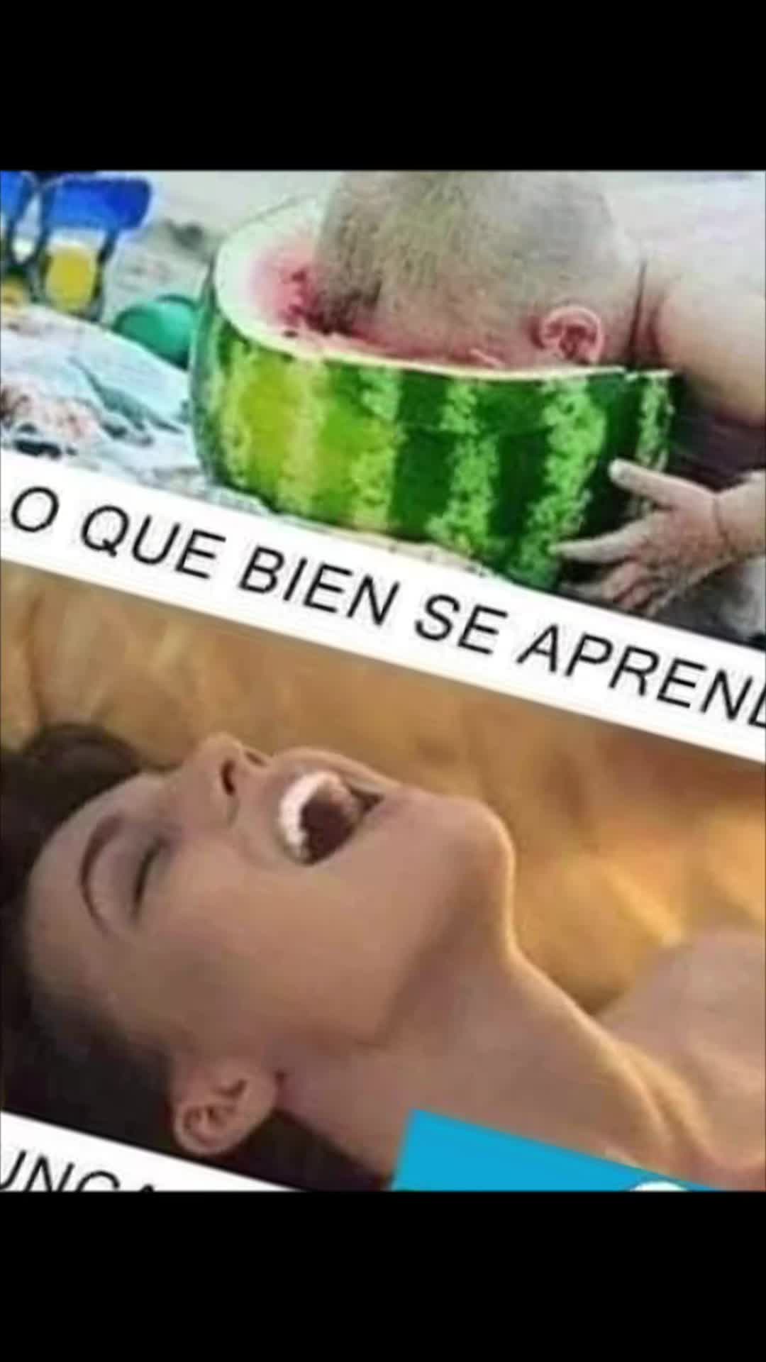 @Ernest Pont