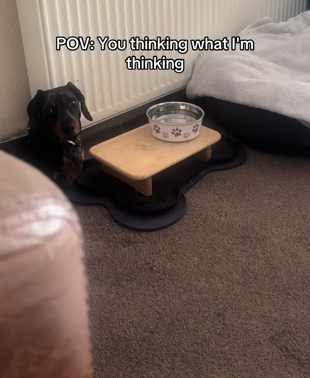 @dibblydobbly_dax