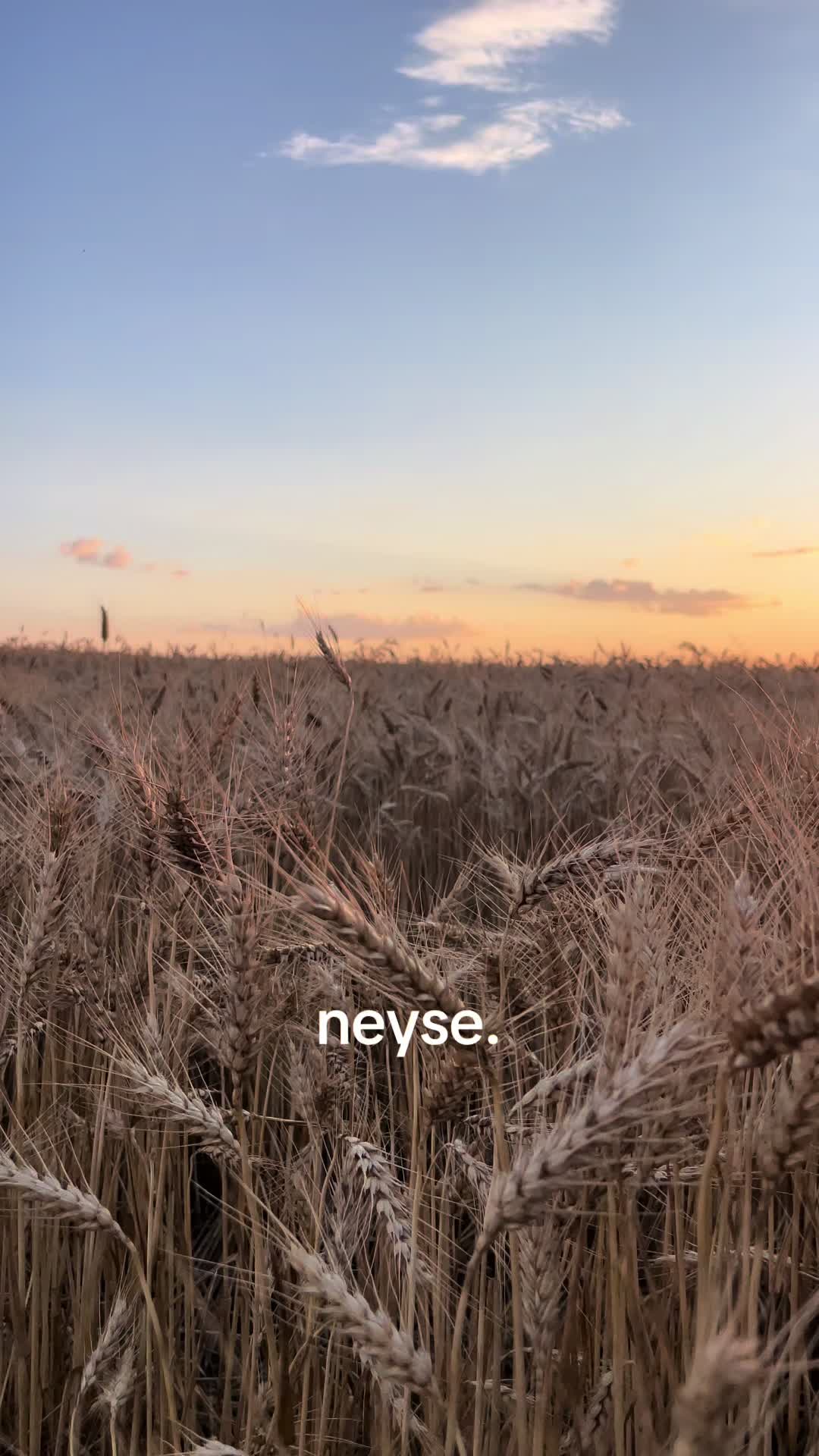 @🌛