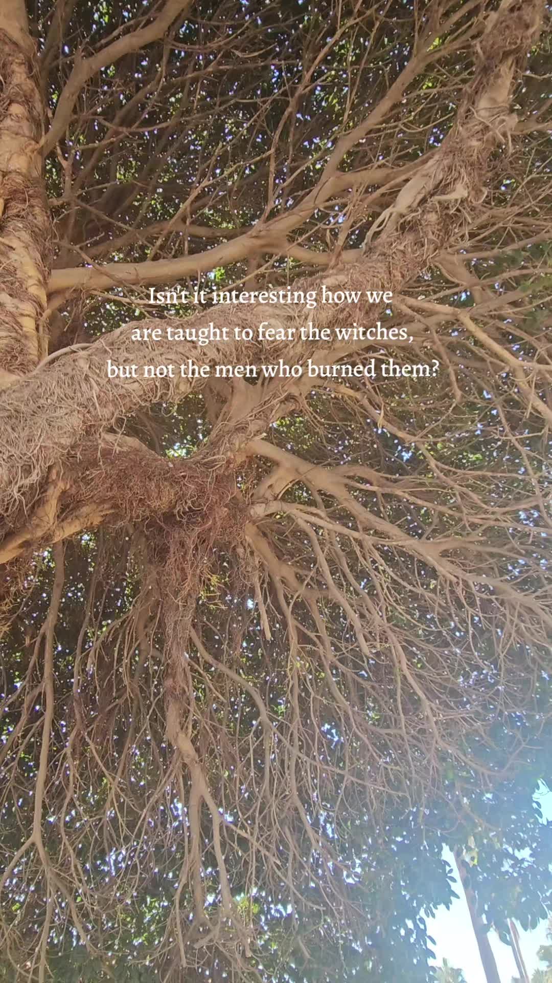 @modernwitchery444