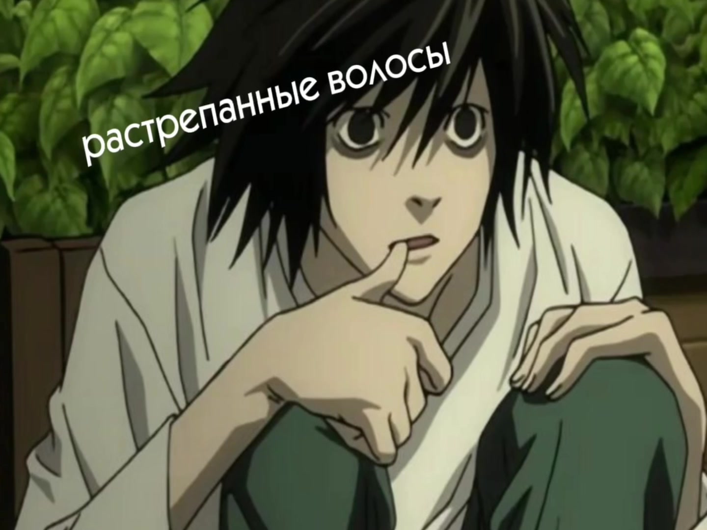 @𓆩yagamiℓight𓆪