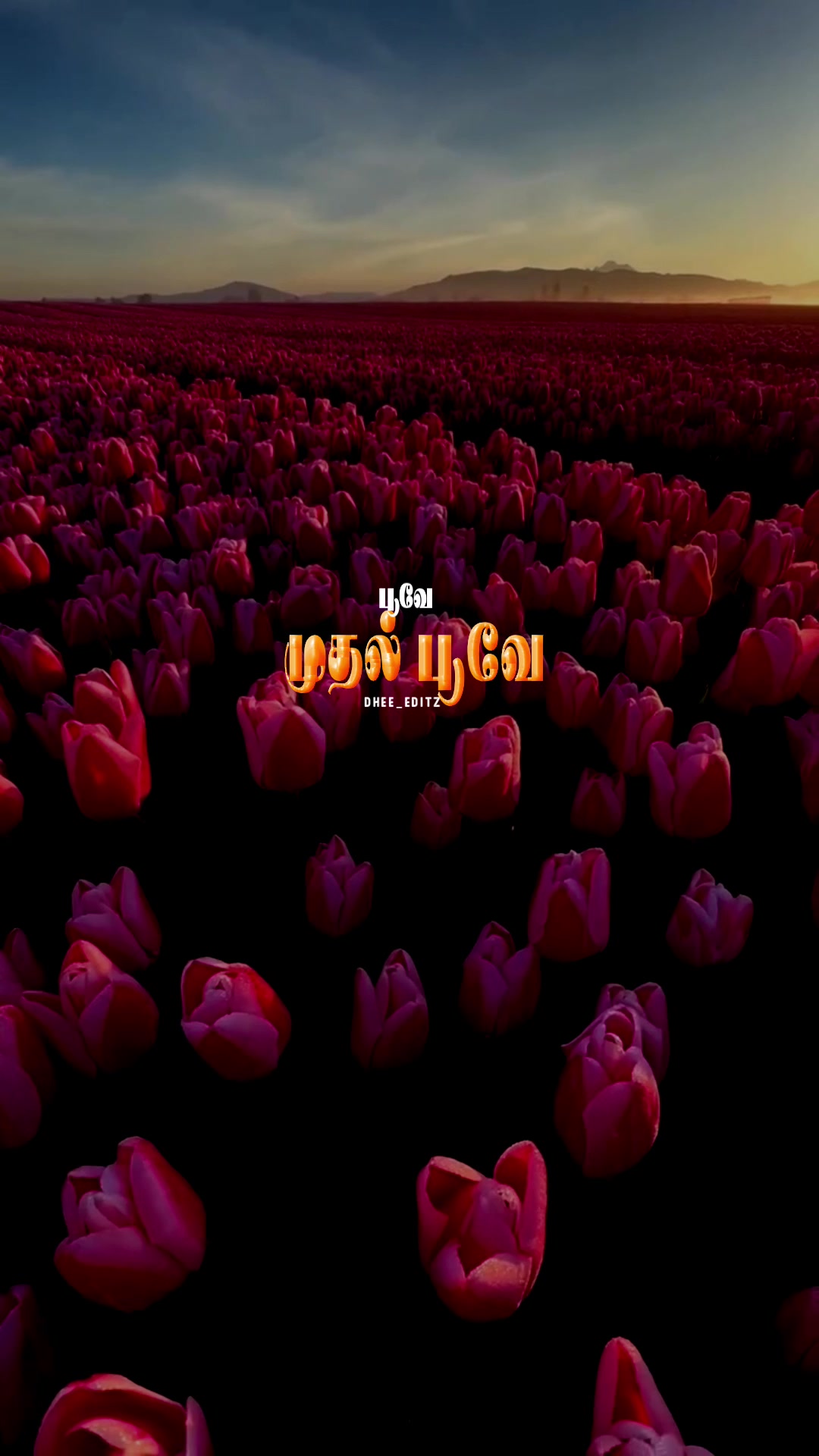 @𝐃𝐡𝐞𝐞_𝐄𝐝𝐢𝐭𝐳 ❤️🩹